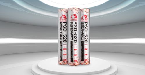 東方雨虹 在擔當實干中奮力書寫高質量發(fā)展新篇章