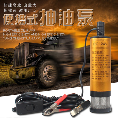 家用車載魚缸微型抽油泵電動(dòng)12V24V機(jī)油油泵柴油小型抽水泵水磅機(jī)